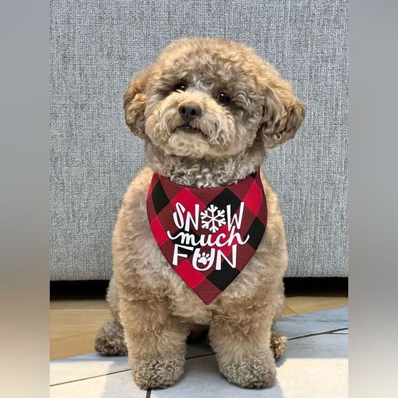 Custom dog bandana with graphic - Picture 2 of 16